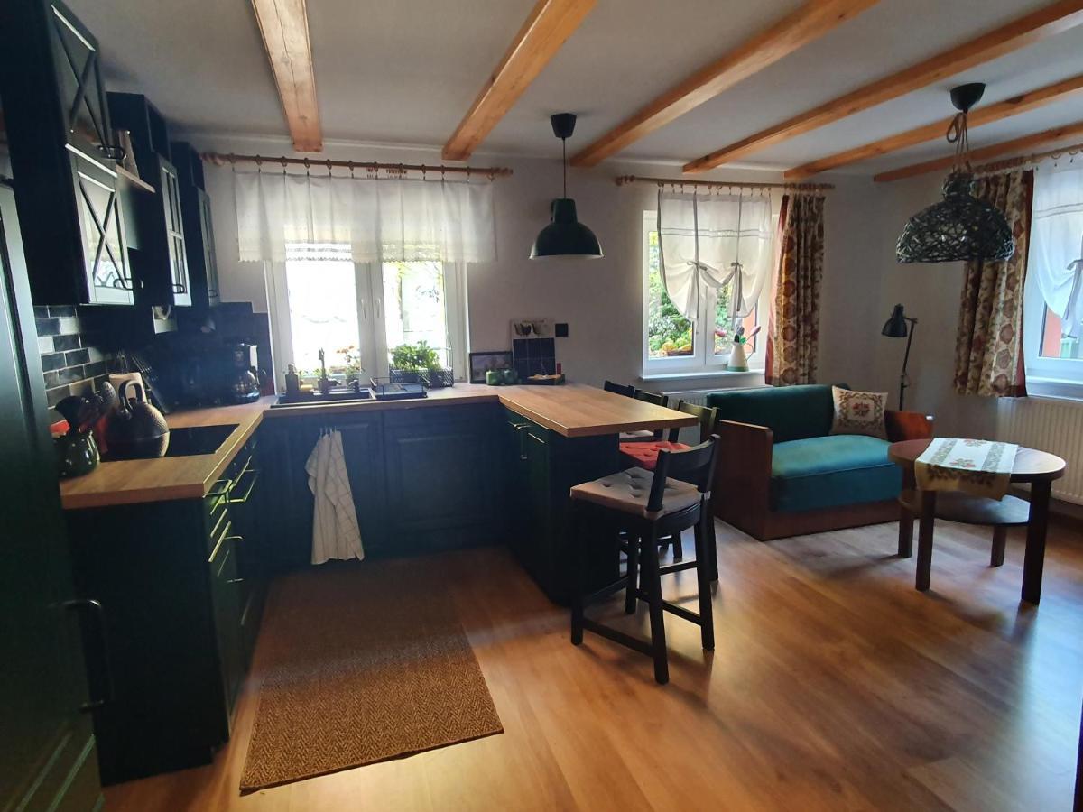 Apartamenty Magiczna Wenecja تشيشين المظهر الخارجي الصورة
