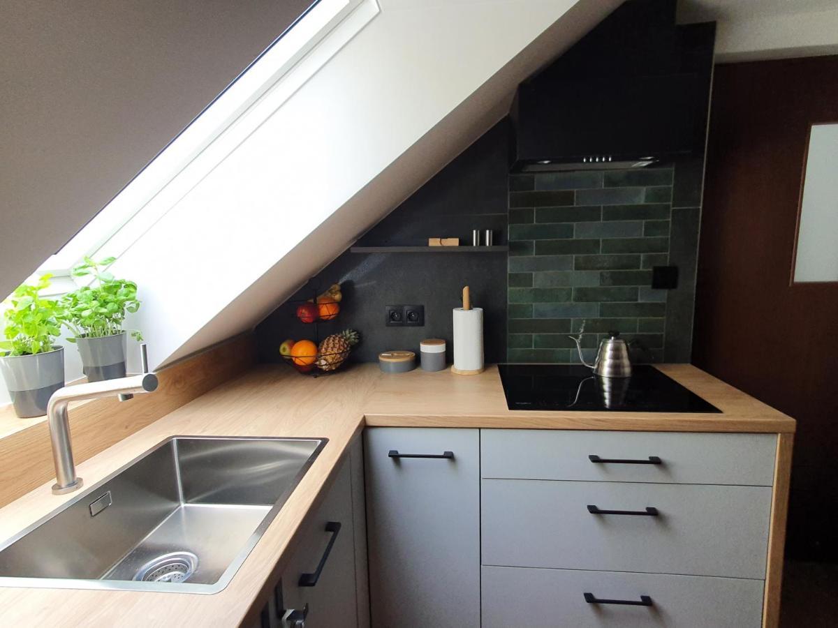 Apartamenty Magiczna Wenecja تشيشين المظهر الخارجي الصورة