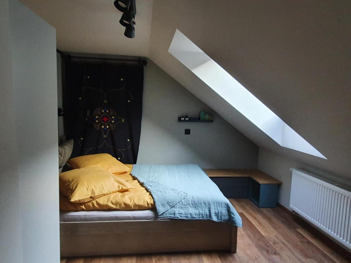 Apartamenty Magiczna Wenecja تشيشين المظهر الخارجي الصورة