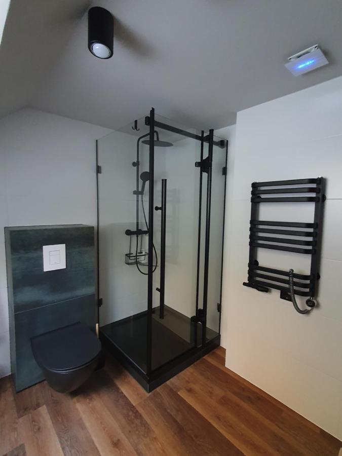 Apartamenty Magiczna Wenecja تشيشين المظهر الخارجي الصورة